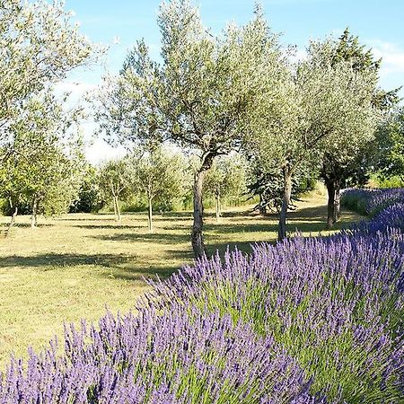 מלון Cairanne Le Vieux Platane מראה חיצוני תמונה