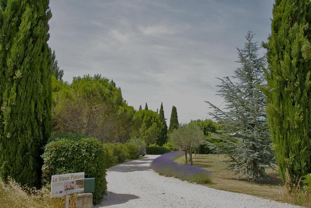 מלון Cairanne Le Vieux Platane מראה חיצוני תמונה