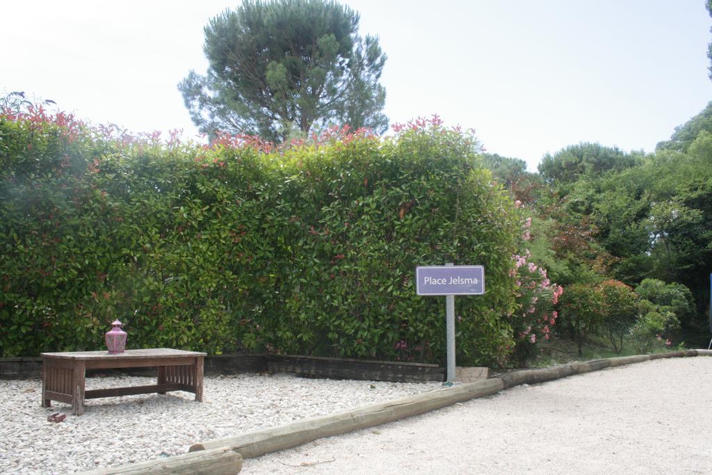 מלון Cairanne Le Vieux Platane מראה חיצוני תמונה