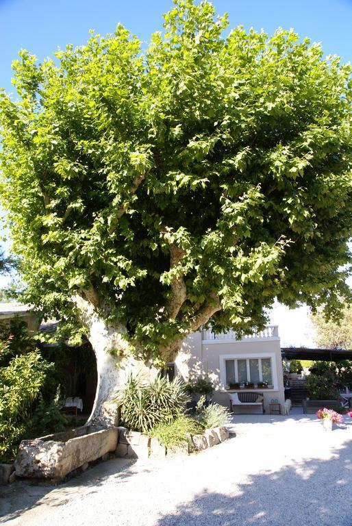 מלון Cairanne Le Vieux Platane מראה חיצוני תמונה